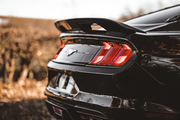 1Bet Kasino Android/iOS Sovellus